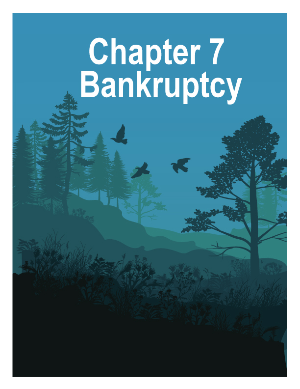 Book Coverrr