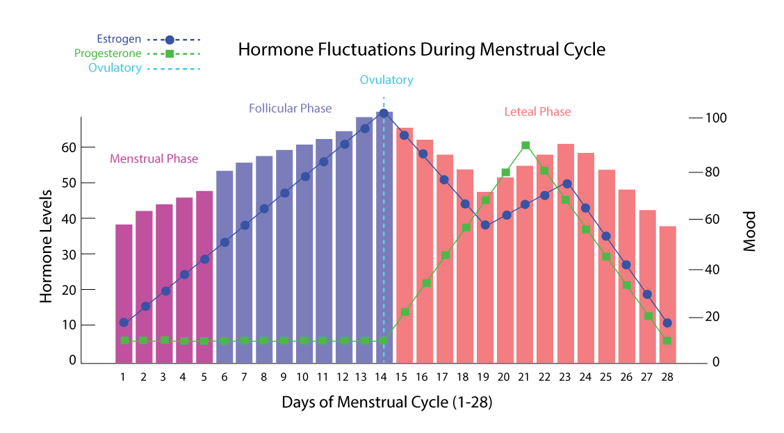 Infographic Design (16)